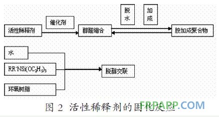 圖2 活性稀釋劑的固化反應
